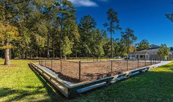 Dog park